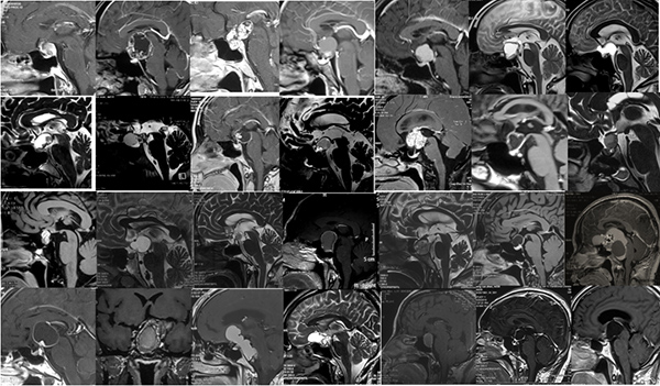 微信图片_20220726110503.jpg 微信图片_20220726110503.jpg